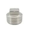 ข้อต่อท่อเกลียวสแตนเลส ข้อต่อท่อเกลียว ปลั๊กหัวเหลี่ยม 150PSI SS304 SS316