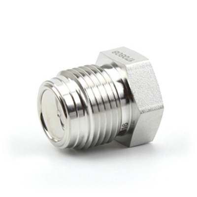 ANSI/ASME สแตนเลส สแตนเลสคาร์บอนสแตนเลส พล็อก ขนาดและวัสดุที่สามารถปรับเปลี่ยนได้ เกรดอุตสาหกรรม