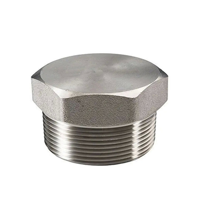 ANSI/ASME สแตนเลส สแตนเลสคาร์บอนสแตนเลส พล็อก ขนาดและวัสดุที่สามารถปรับเปลี่ยนได้ เกรดอุตสาหกรรม