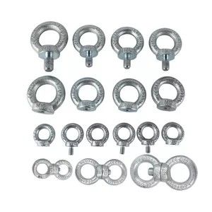 Rigging Hardware 64mm 7/8 "Din582 Forged Lifting Eye Nut