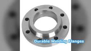 หน้าแปลนคอเชื่อม SS304 SS316 PN6